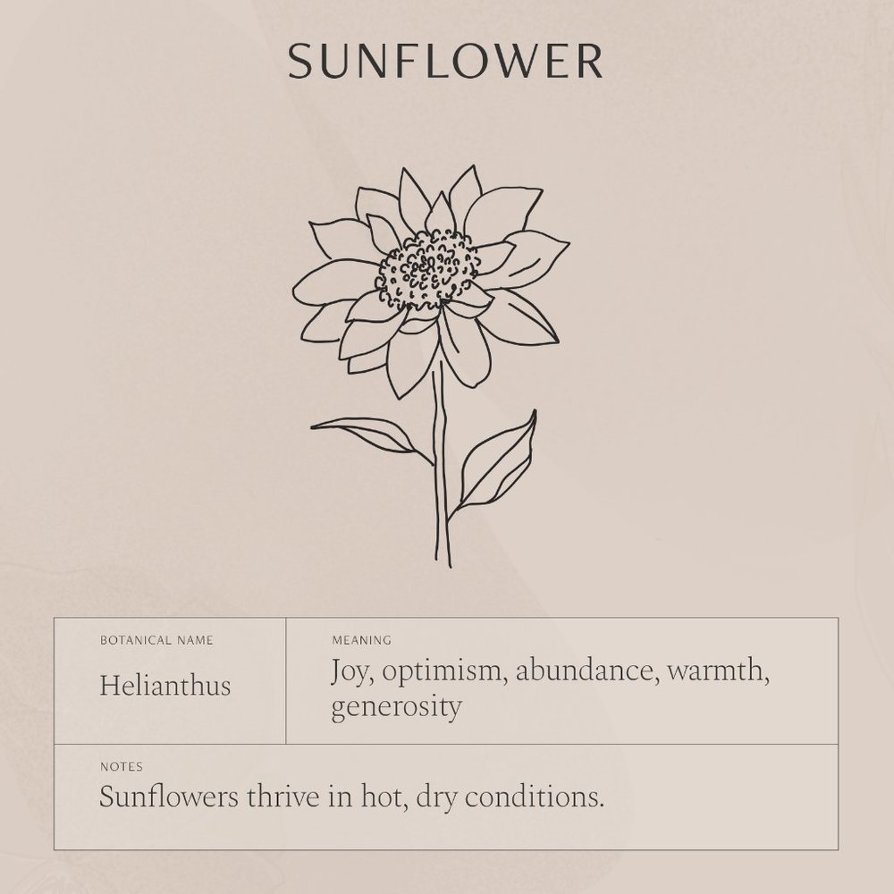 Sunflower Engraved Cute Floral Minimalist Necklace - Picture 8 of 16